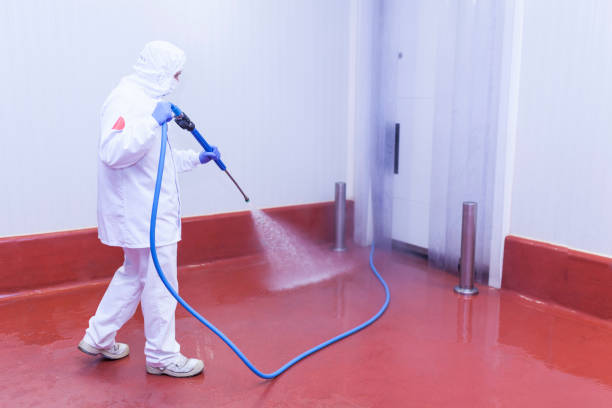 Best Pre-Holiday Cleaning  in Lemoore, CA
